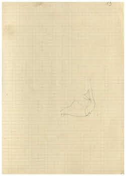 Visualizza l'immagine "FD Album 3, 13 r."